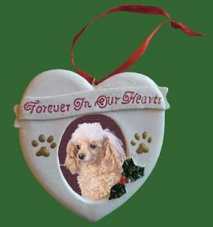 FOREVER IN OUR HEARTS PET MEMORIAL PICTURE FRAME CHRISTMAS ORNAMENT 