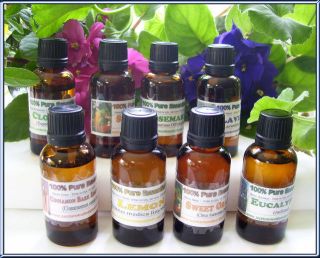 melaleuca oil in Natural & Homeopathic Remedies