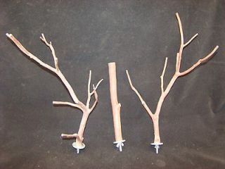   Bird Perches 3 pack 8&1/2 to 13 Long * Multi & Single Branch