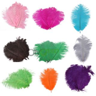 10Pcs Natural Ostrich Feathers 8 10inch/20 25cm 12 Colors High Quality 