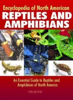 Reptiles and Amphibians An Essential Guide to Reptiles and Amphibians 