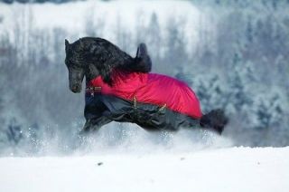 Amigo Mio by Horseware MEDIUM Turnout Blanket   Burgundy/Black   ALL 