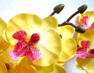   Phalaenopsis Artificial Silk Phal Orchid Flower stem plant WEDDING