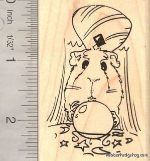 Guinea Pig with Crystal Ball, Fortune Teller, Magic J16304 WM 