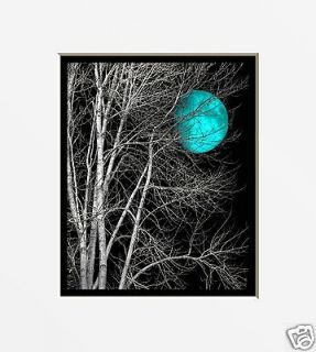 Black & White Aqua Blue Moon Tree Interior Home Wall Art Picture