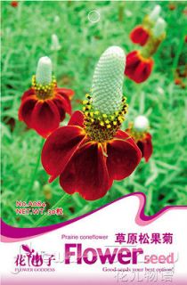   Seed ★ 30 Grassland Flower Seed Charming Fragrance Striking Plant