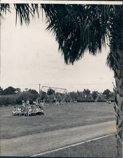 1947 St Petersburg Florida New Playground Equipment at City Parks Wire 