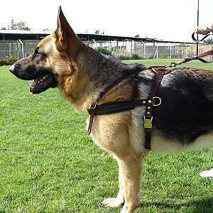 NEW Training K9 Safety Dog Harness Vest German Shepherd