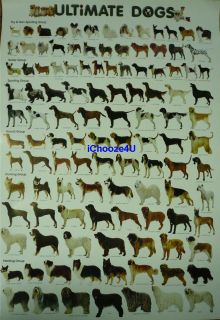 ULTIMATE DOGS Breeds Chart Educational POSTER 21.5x31 Inches 1 Sheet