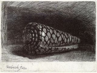 Rembrandt Etchings: The Shell and Rembrandts Mother   2 Fine Art 