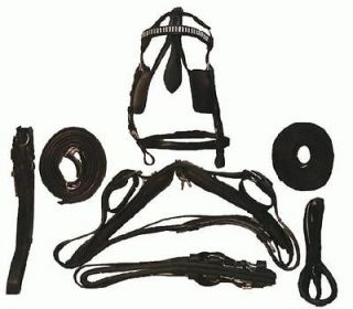 New Nylon Horse Driving Harness with Carry Bag!