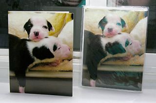 Pit Bull Puppy Blank Photo Note Cards Animal Rescue