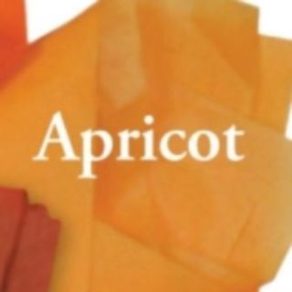 APRICOT TISSUE Paper (orange) Large 20 x 30 Quality Satin Wrap Brand 