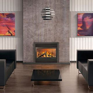 direct vent gas fireplace in Fireplaces