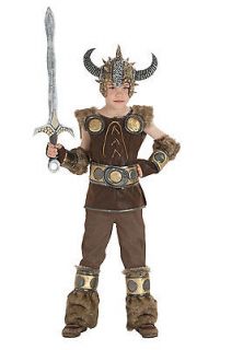 how to train your dragon costume in Costumes, Reenactment, Theater 