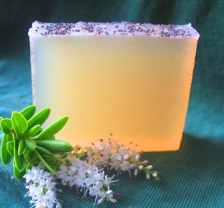 ACNE/ KERATOSIS PILARIS/FUNGAL INFECTION Treatment Soap~Natural Tea 