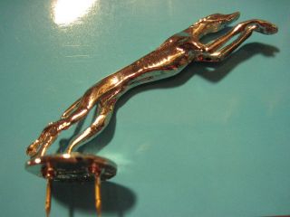 EARLY 1930s FORD miniature GREYHOUND RADIATOR CAP ORNAMENT   hat pin