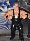 Dave Batista Bio WWE WWF Animal Vince McMahon