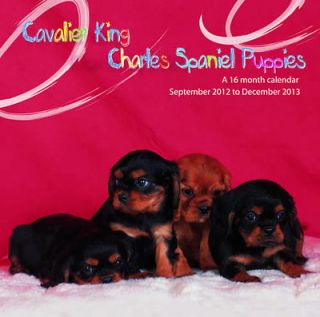 Cavalier King Charles Spaniel Puppies 2013 Calendar MGDOG15