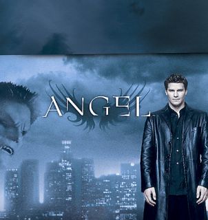 Angel   Collectors Set DVD, 2009, 30 Disc Set