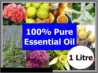 Litre Laurel Leaf Laurus nobilis Essential Oil Aromatherapy