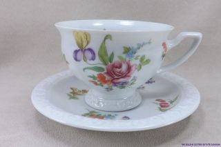 AK12 ROSENTHAL maria flowers CLASSIC ROSE TEA CUP AND SAUCER A++