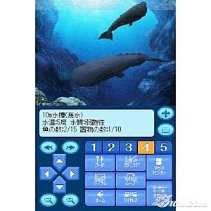 Fantasy Aquarium Nintendo DS, 2008