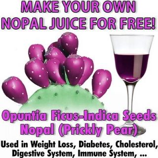 Make Your Own Free Nopalea Natural Juice ★ Opuntia ficus indica 
