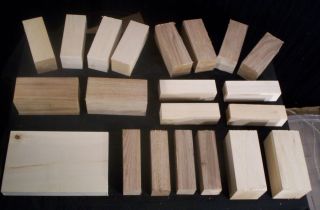   Ultimate starter Carving wood lot basswood butternut hitty carve craft