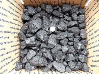 BLACKSMITH COAL FOR YOUR FORGE LARGER CRUSH SIZE GREAT FOR MAKING YOUR 