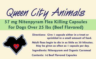 14 Queen City Animals Nitenpyram Flea Killing Capsules For Dogs 25 