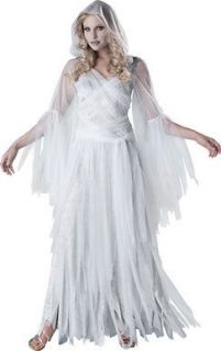 Womens Ghost Spirit Halloween Dress Costume