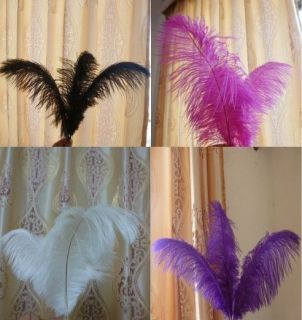 New ! 100 Pcs pure ostrich feathers colors 10 12 inch / 25 30 cm