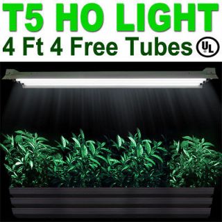 fluorescent light bulbs 48