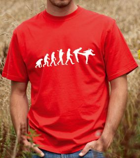 Evolution of a Ninja   Funny Martial Arts T shirt, Tshirt,Tee Shirt 