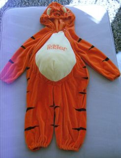 Cross Stitch Pattern COLOR Winnie Pooh Eeyore Tigger Costume Halloween 