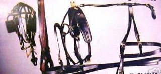 horse harness in Driving, Horsedrawn
