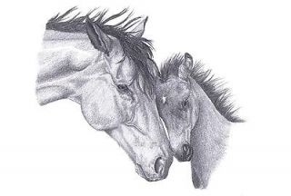 MARE & FOAL (1) Horse pencil art drawing picture Limited Edition print 