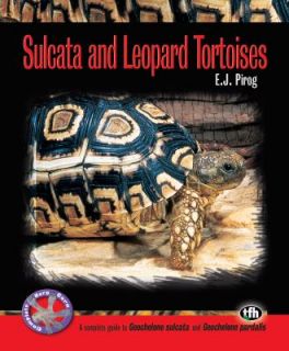 Sulcata and Leopard Tortoises by E J Pirog 2009, Paperback