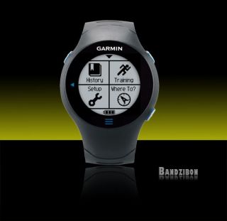 Garmin Forerunner FR 610 GPS Receiver Watch Multisport Running 
