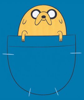  Jake in Pocket   Adventure Time