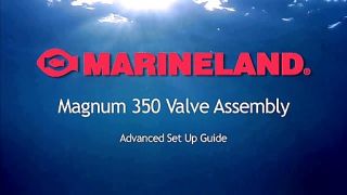Magnum 350 Valves Assembly   image 1 from the video