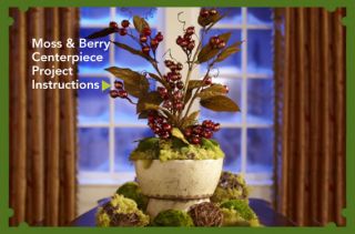 Moss & Berry Centerpiece Project Instructions
