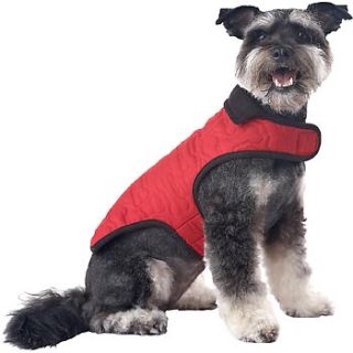 Home Dog Apparel  Pup Crew Red Quilted Bone Dog Jacket
