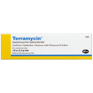 Terramycin Ophthalmic Ointment  Eye Antibiotic For Dogs & Cats 
