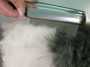 The Resco Pro Series Flea Comb is an all purpose grooming tool that 
