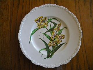 ROYAL CAULDON   X2893 YELLOW LILLIES   DINNER PLATE Made in England