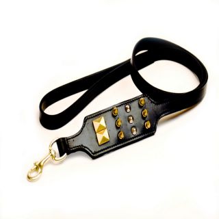48 Brass Studded Leather Dog Leash at Brookstone—Buy Now!