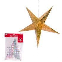 Bulk Christmas House Giant Star Decorations, 24 at DollarTree