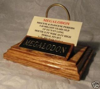 MEGALODON SHARK TOOTH STAND GOLD ENGRAVED PLAQUE 5